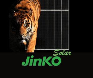 Jinko-Tiger